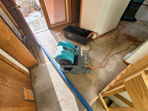 Best Commercial water damage restoration  in Kaukauna, WI