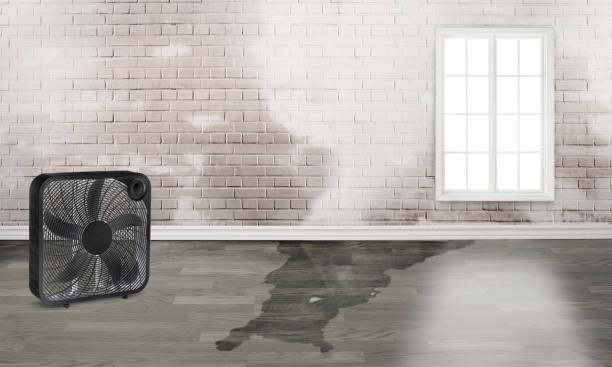 Best Water damage repair service  in Kaukauna, WI