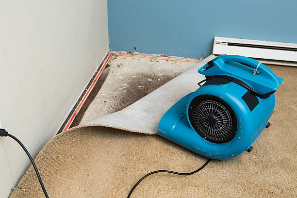 Best Water damage contractors near me  in Kaukauna, WI